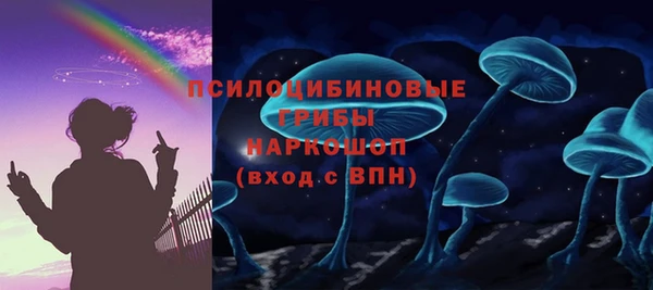 шишки Абаза