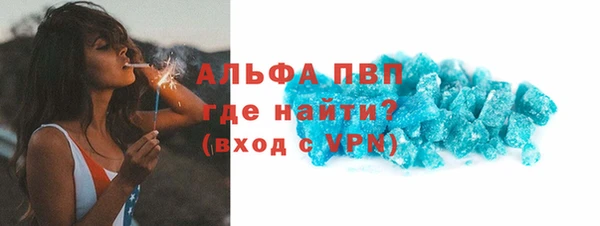 шишки Абаза