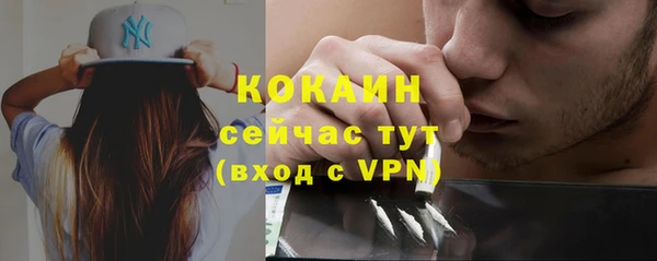 шишки Абаза