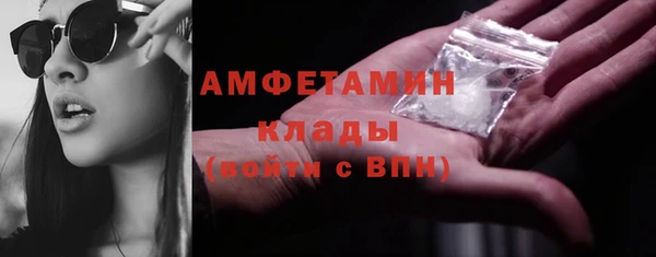 шишки Абаза