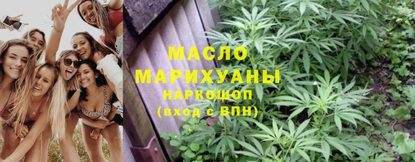 гашик Надым