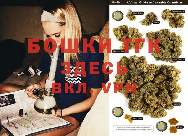 гашик Надым